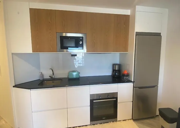 Daire Mar De La Concha *